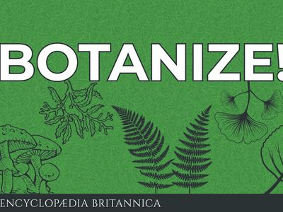 Botanize!