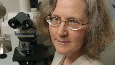 Elizabeth Blackburn