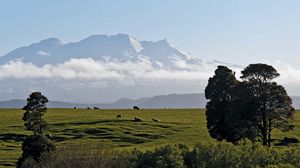 Mount Ruapehu