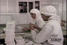 Learn how Muslim women have gained entry to the workforce as factory workers, teachers, and doctors