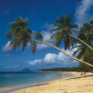 beach, Martinique