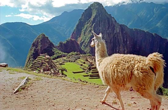 Machu Picchu, Peru