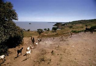 Ethiopia: Lake Tana