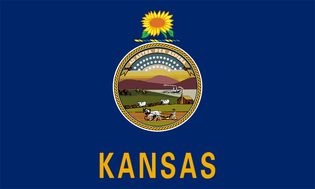 Kansas: flag