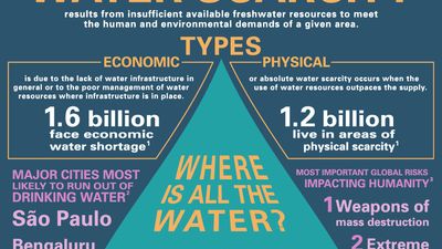 Infographic on water scarcity. water availability, water use, inefficient irrigation, water pollution