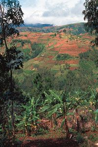 Burundi highlands