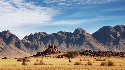 Namib desert, Namibia.