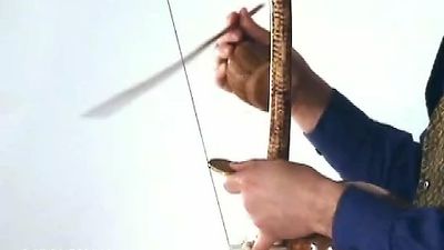 Watch a man playing a Brazilian musical bow called Berimbau