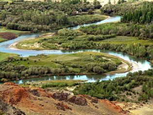 Kulunda Steppe