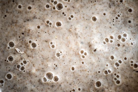 yeast fermentation