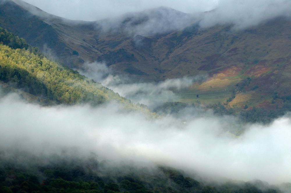 Fog in hills.