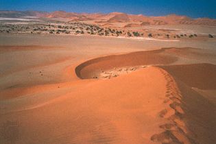 sand dunes surrounding Sossusvlei