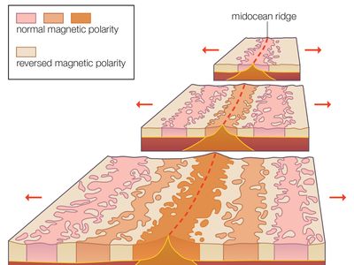 seafloor spreading and magnetic striping