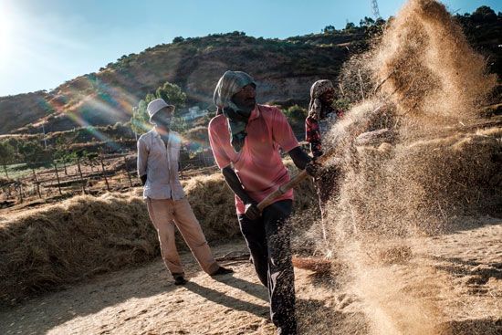 Threshing a tiny grain