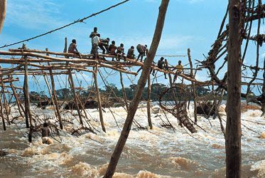 Enya (Wagenia) fishing in the rapids of the Congo River near Kisangani, Democratic Republic of the Congo.