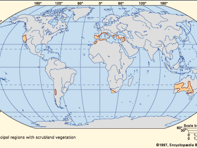 scrubland