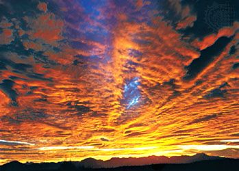 Middle clouds(Top to bottom)  Altocumulus undulatus, a layer of shaded, regularly arranged rolls; altocumulus perlucidus, a white and gray layer in which there are spaces between the elements; altostratus translucidus, showing the Sun as if seen through ground glass; altocumulus radiatus, a layer with laminae arranged in parallel bands.