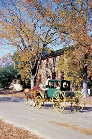 Williamsburg: horse and carriage