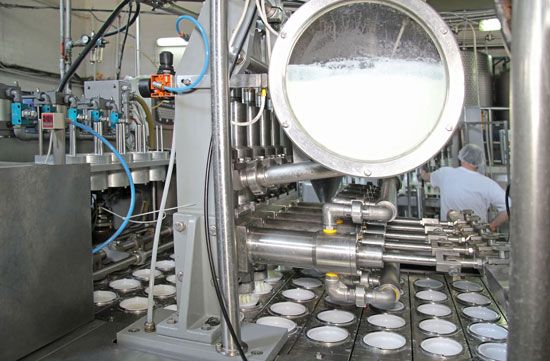 yogurt production