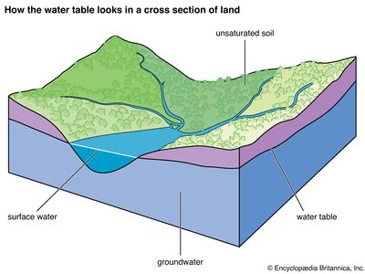 diagram illustrating the water table