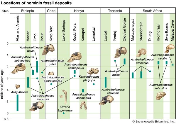 australopith fossil locations