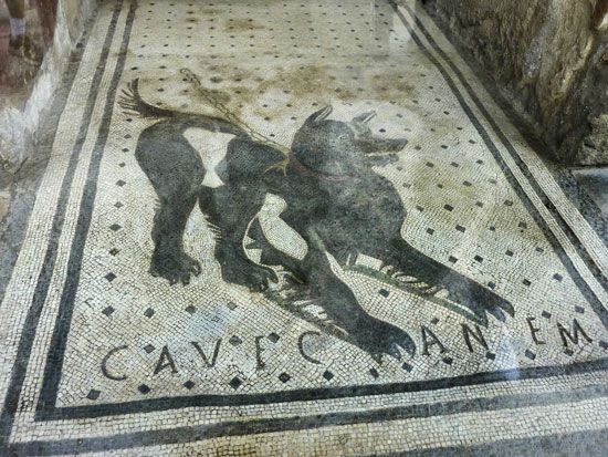 Roman dog mosaic from the threshold of a house in Pompeii, “Cave canem” (“Beware of the dog”); National Archaeological Museum, Naples.