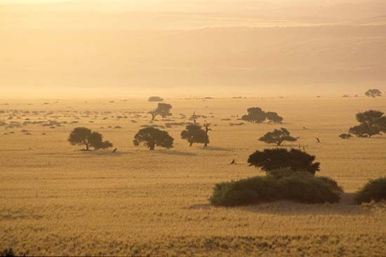 Australian Outback