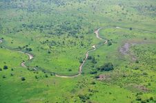 Savanna vegetation during the rainy season, South Sudan.