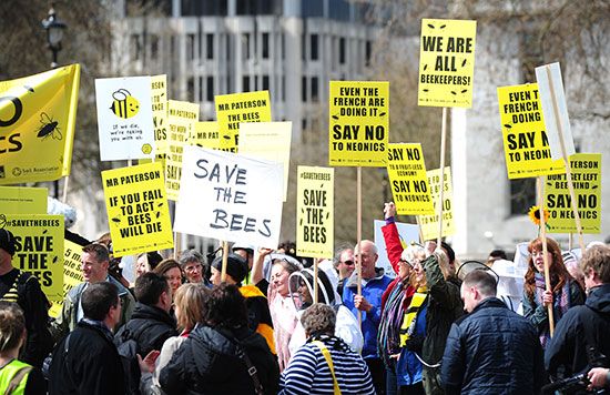 protesters against neonicotinoids