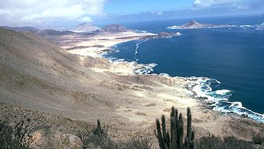 Pan de Azucar National Park in the Atacama Desert, Chile