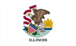 Illinois: first flag