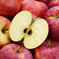 Several red apples with cut apple in the foreground.