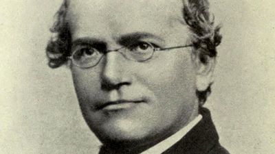 Gregor Mendel