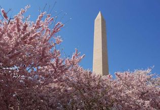 Washington Monument