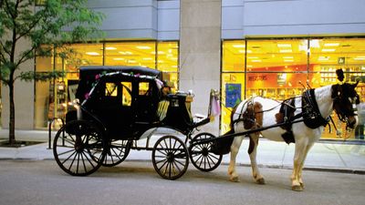 A horse-drawn carriage in Chicago.