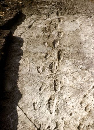 Laetoli footprints