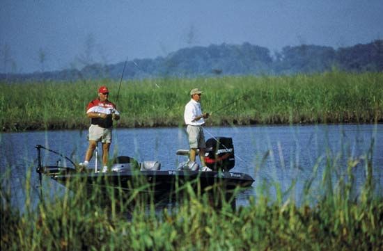 Bass fishing in Charles county, Md.