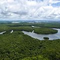 Aerial view of the Amazon River in the Amazon rainforest near Manaus in Brazil. South America