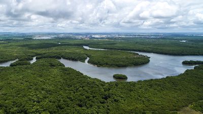 Aerial view of the Amazon River in the Amazon rainforest near Manaus in Brazil. South America