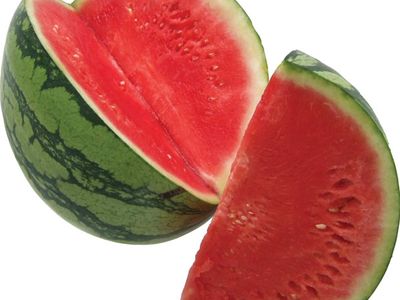 watermelon