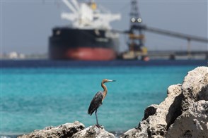 Rode reiger tegen een achtergrond van een vrachtschip dat aan het laden is