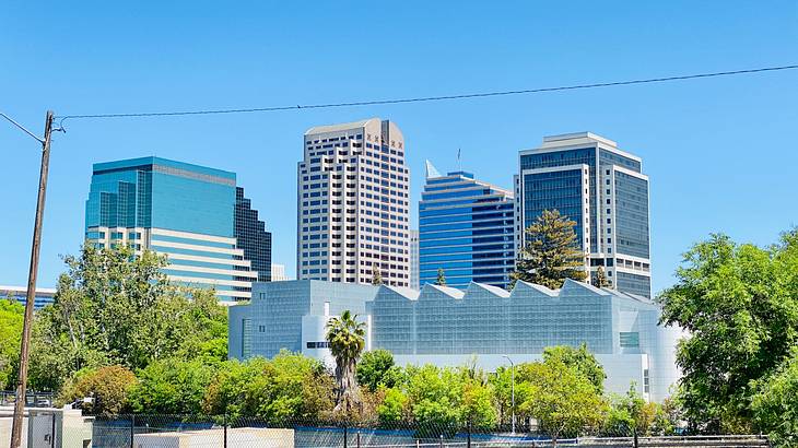 Tall glass buildings near green trees and an electrical pole on a clear blue day