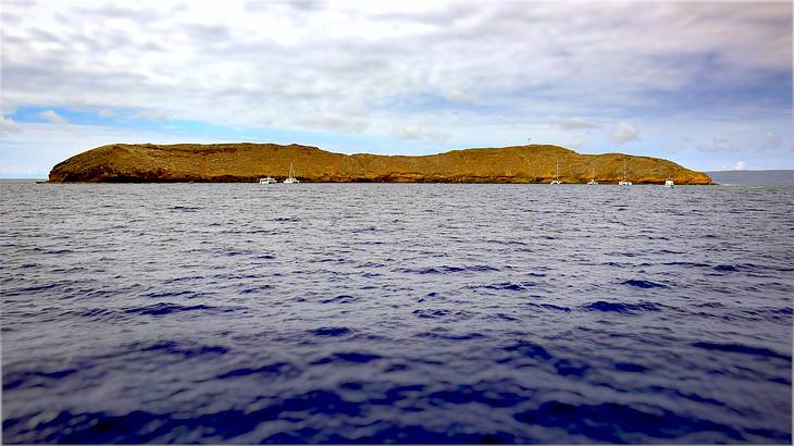 Molokini Crater, Maui, Hawaii, USA