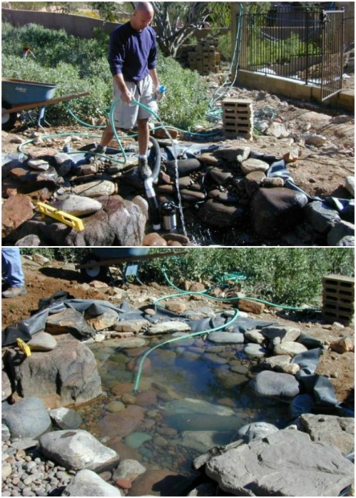 DIY Pond And Stream With Waterfall