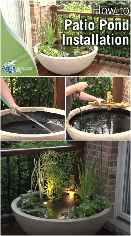 Lighted Zen Container Pond