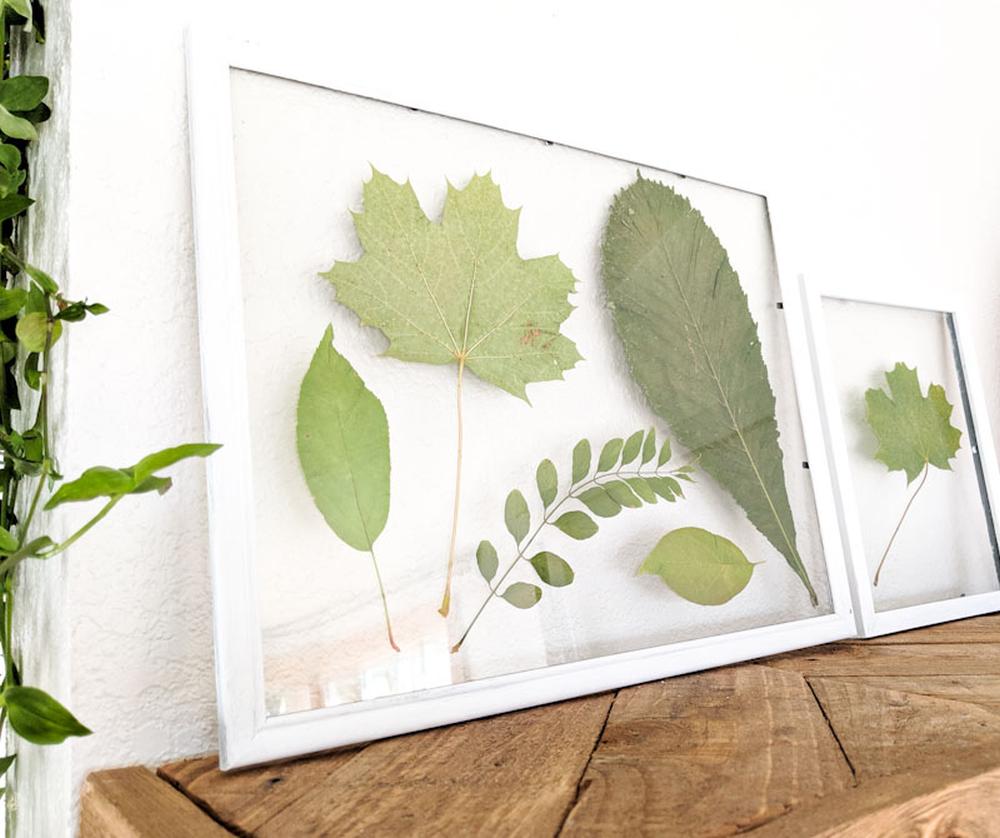 Framed leaf art thanksgiving wall decor 