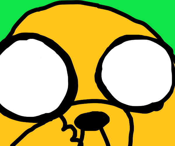 Jake the dog's face close-up