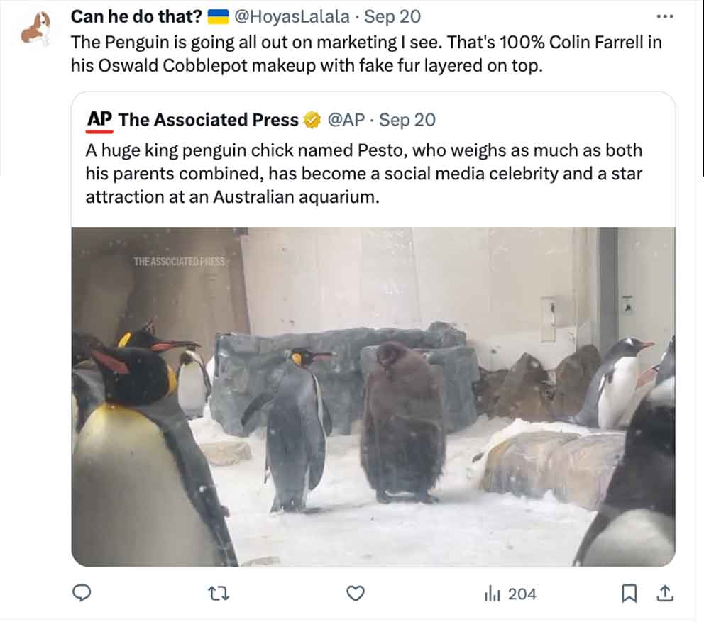 pesto penguin - king penguin - Can he do that? Sep 20 The Penguin is going all out on marketing I see. That's 100% Colin Farrell in his Oswald Cobblepot makeup with fake fur layered on top. Ap The Associated Press . Sep 20 A huge king penguin chick named 