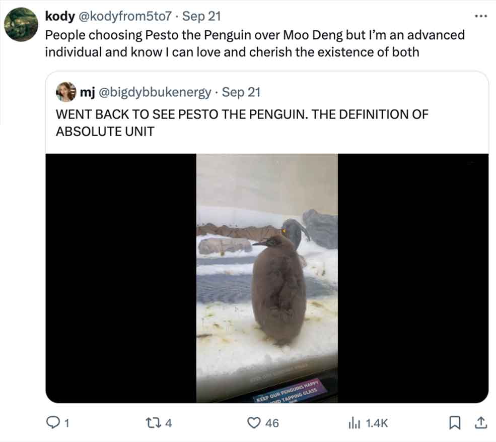 pesto penguin - screenshot - kody Sep 21 People choosing Pesto the Penguin over Moo Deng but I'm an advanced individual and know I can love and cherish the existence of both . mj Sep 21 Went Back To See Pesto The Penguin. The Definition Of Absolute Unit Q