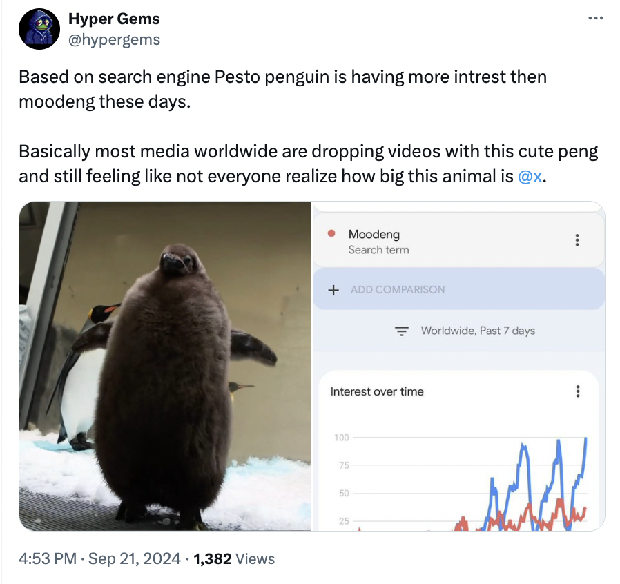 pesto penguin - adÃ©lie penguin - Hyper Gems Based on search engine Pesto penguin is having more intrest then moodeng these days. Basically most media worldwide are dropping videos with this cute peng and still feeling not everyone realize how big this an